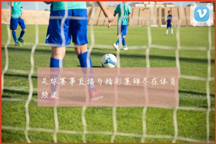足球赛事直播与精彩集锦尽在体育频道