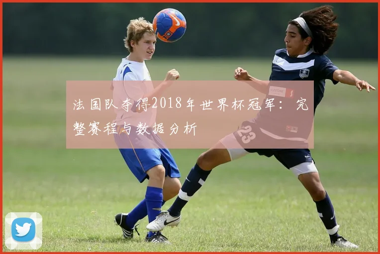 法国队夺得2018年世界杯冠军：完整赛程与数据分析